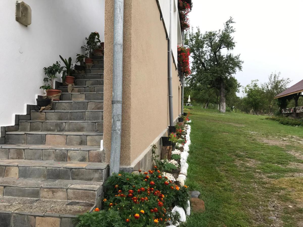 فندق Văleniفي  Casa Relax المظهر الخارجي الصورة